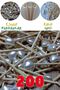10mm Heart Pearl Luxury Necklace - 200 Pieces - 4