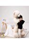 100 cm Plush Bear - Special Gift for Your Loved Ones Plush Teddy Bear, 100% Local Premium Quality - 3
