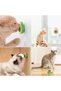 BUFFER® Avocado Model Adhesive Cat Toy Edible Catnip Herb - 4