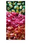 1kg. Mixed Candy (Strawberry, Lemon, Orange) - 2