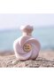 Ahmed Al Maghribi Rose Noir EDP 75ML - 3