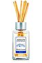 X Version Home Perfume 85 ml - 4