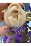 Stainless Steel Bombed Earring Earrings 1 Pair - 5