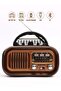 راديو عالي الدقة FM/AM/3 نطاقات، مشغل USB/TF/BT DX2448 - 2