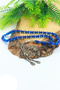 Blue Vernier Alpaca Tasseled Barley Cut Powder Amber Prayer Beads 201024016 - 3