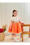 Orange Embroidered Vintage Baby Girl Dress, Birthday Dress, Photo Shoot Dress, Suitable for Ages 0-12