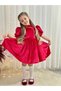 Red Velvet Vintage Baby Girl Dress,Birthday Dress,Photography Shoot Dress,Suitable for 0-12 Years Old - 2