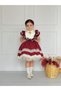 Zebrina Burgundy Vintage Baby Girl Dress, Birthday Dress, Photo Shoot Dress, Suitable for Ages 0-12 - 4