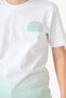 Born the Skate Printed Boy's Shorts - T-Shirt Set - 6