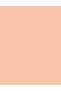 C.POWDER CPW NP-091 MEDIUM CREAM ROSE - 4