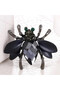 Brosa Insecta SIC MODA 3850N - 2