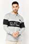 Men Regular Fit Long Sleeve Brand Logo Polo Shirt, Grey