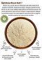 100% Pure Miswak Trees' Obtained Edible Ground Miswak Powder {Salvadora Persica} |   30Gr. - 2