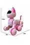 30 Functions Smart Interactive Teaching Robot Toy Cat with Remote Control - 3