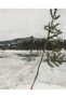 Winter Landscape Framed Poster - 2