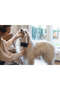 Dog Comb, Easy Comb, Sm, Black Grey, 18cm, 18X10X2Cm Svlrs - 4
