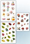 Set of 7 Floral Themed Stickers Suitable for Agenda Planner Bullet Journal - 4