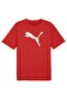 Sportswear Daily Use Red T-Shirt