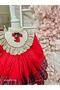 Red Checkered Baby Girl Dress, Birthday Dress, Photo Shoot Dress, Suitable for Ages 0-12 - 2