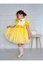 Sunflower Yellow Vintage Baby Girl Dress, Birthday Dress, Photo Shoot Dress, Suitable for 0-12 age - 3