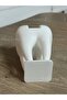 Dentist Tabletop Dental Business Card Holder - Gift Business Card Holder - Decorative Object - 4