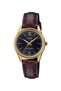 Women's Wristwatch with Case Gold Dial Black Band Brown Color 2 Years Warranty