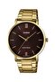 Men's Wristwatch with Brown Band Gold Color 2 Years Warranty