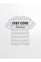 Lcw Crew Neck Striped Boys' T-Shirt - 3