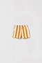 Boy's Lion Detailed Striped Shorts Suit - 2