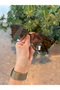 Victoria Cat Eye Leopard 49 Ekartman Sunglasses Women Men Light Weight Slanted Small Glasses - 5