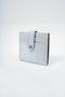 Women's Silver Paper Money Compartment Stylish Glitter Wallet Card Holder with Snap Closure Alc-X14084