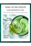 Green Tourmaline Crystal Collagen Firming Eye Masks 80 gr - 60 pieces - 5
