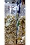 Chamomile 40 g - 5