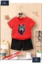 Children's "Back Painted Wolf" Special Printed Crew Neck T-Shirt - Shorts Set
