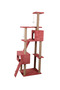 Cat City-1 Cat Scratcher House - 4