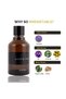 Exotic Oud Άρωμα, Riiffs , eau de parfum 100 ml, ανδρικό - 2