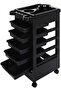 Professional Salon Trolley ABS Material Barber Hairdressing Storage Wheels for Salon Spa Clinic