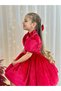 Red Velvet Vintage Baby Girl Dress,Birthday Dress,Photography Shoot Dress,Suitable for 0-12 Years Old - 3