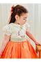 Orange Embroidered Vintage Baby Girl Dress, Birthday Dress, Photo Shoot Dress, Suitable for Ages 0-12 - 5