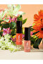 أحمر شفاه LIP&CHK TINT LCT NEW 003 مربى المشمش - 7