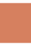 BLUSH-ON CBL NP 107 PEACHY BROWN - 4