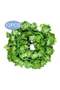12-Piece Artificial Hanging Ivy Leaves multicolour 230cm - 2