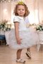 Baby Girl Girl Birthday Party Wedding Dress Tulle Children's Clothing Baby Clothing - 4