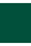 FNE-538 ALWAYS GREEN - 4