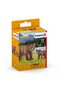 Set figurine Schleich - 2