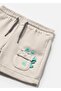Baby Boy Plush Shorts Gray 1242 - 2