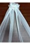Scalloped Short Rose Veil