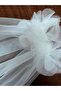 Scalloped Short Rose Veil - 3