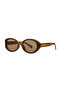 DK4342COL02 نظارات شمسية نسائية - 2