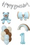 Teddy Bear Rainbow Themed Baby Boy Concept Birthday Age Set